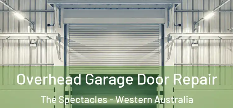 Overhead Garage Door Repair The Spectacles - Western Australia