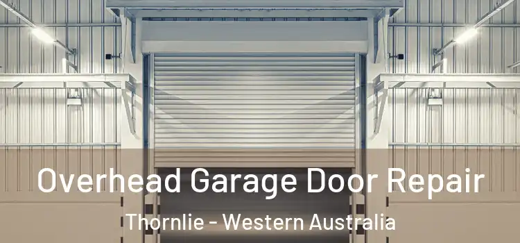 Overhead Garage Door Repair Thornlie - Western Australia