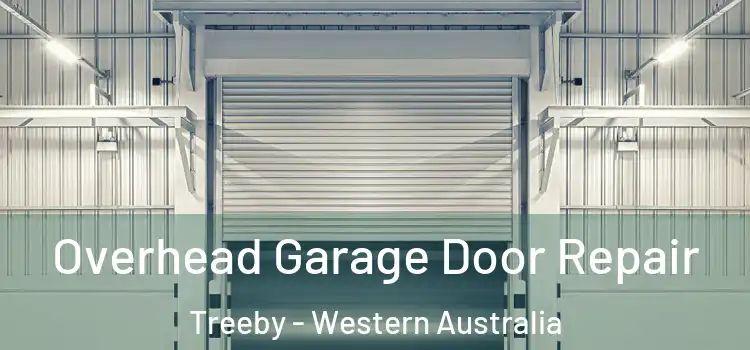Overhead Garage Door Repair Treeby - Western Australia