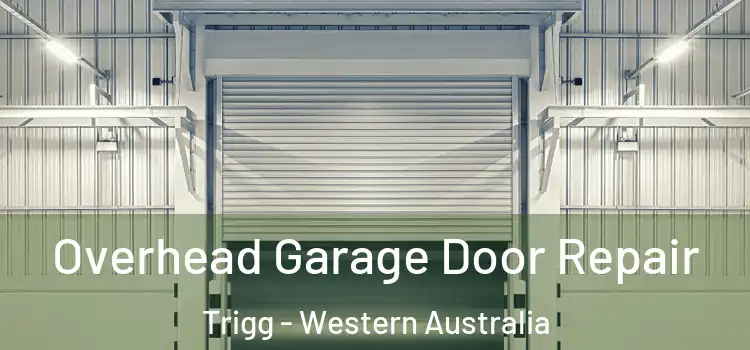Overhead Garage Door Repair Trigg - Western Australia
