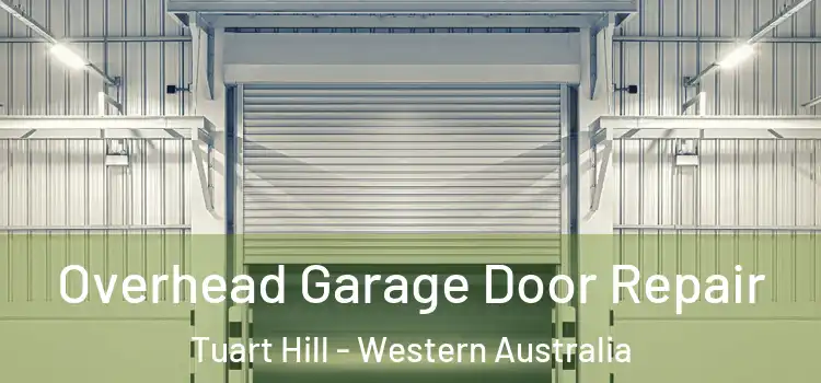 Overhead Garage Door Repair Tuart Hill - Western Australia