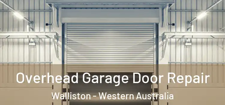 Overhead Garage Door Repair Walliston - Western Australia
