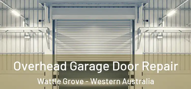 Overhead Garage Door Repair Wattle Grove - Western Australia