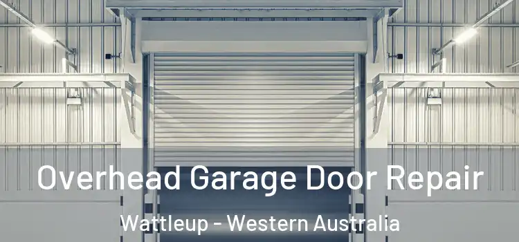 Overhead Garage Door Repair Wattleup - Western Australia