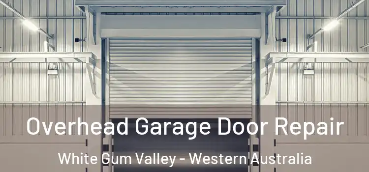 Overhead Garage Door Repair White Gum Valley - Western Australia