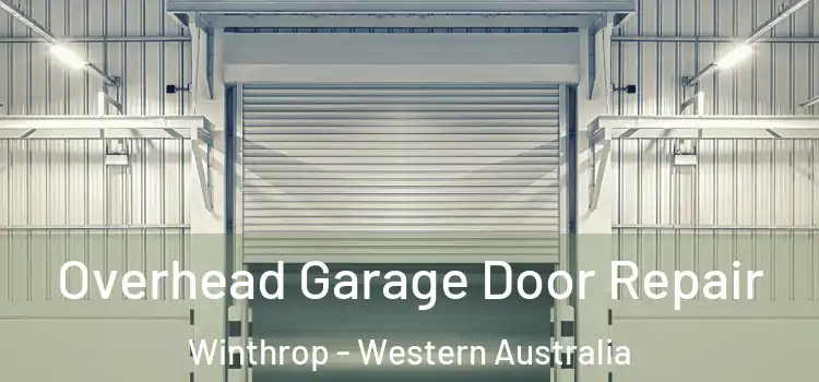 Overhead Garage Door Repair Winthrop - Western Australia