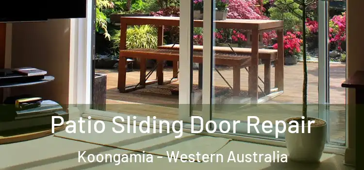 Patio Sliding Door Repair Koongamia - Western Australia