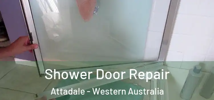 Shower Door Repair Attadale - Western Australia