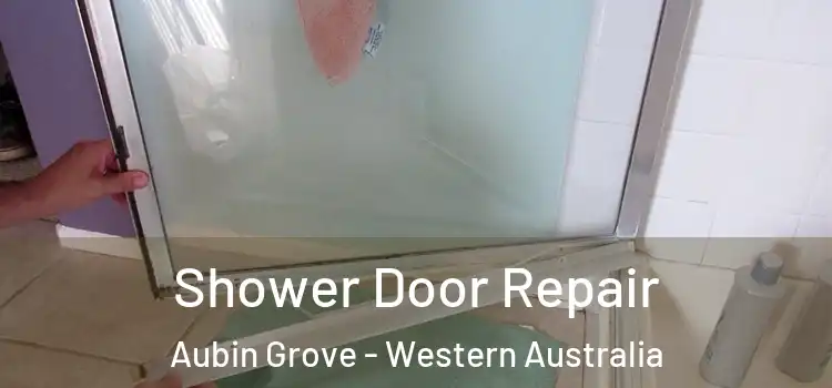 Shower Door Repair Aubin Grove - Western Australia