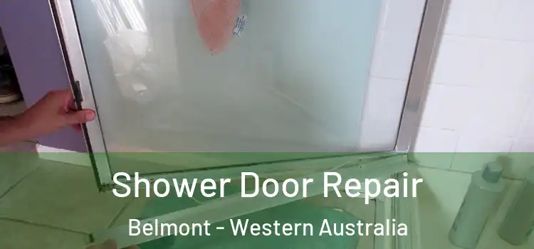 Shower Door Repair Belmont - Western Australia