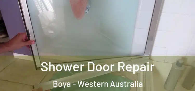 Shower Door Repair Boya - Western Australia