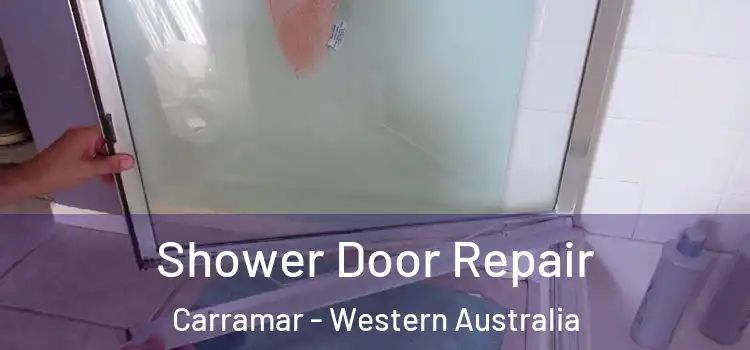 Shower Door Repair Carramar - Western Australia