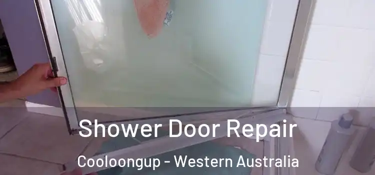 Shower Door Repair Cooloongup - Western Australia