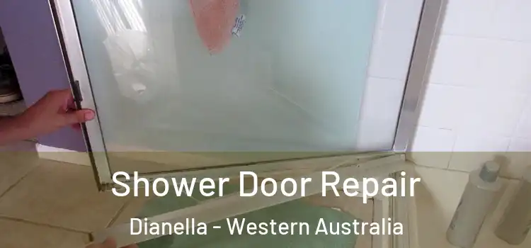 Shower Door Repair Dianella - Western Australia