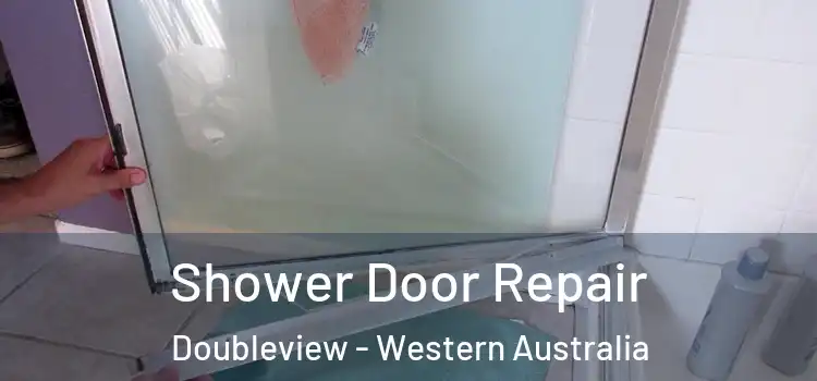 Shower Door Repair Doubleview - Western Australia