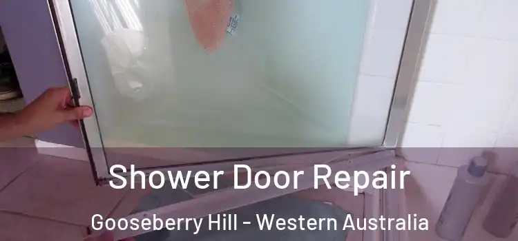Shower Door Repair Gooseberry Hill - Western Australia
