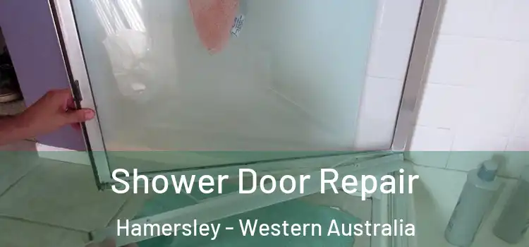 Shower Door Repair Hamersley - Western Australia
