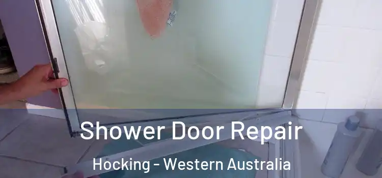 Shower Door Repair Hocking - Western Australia