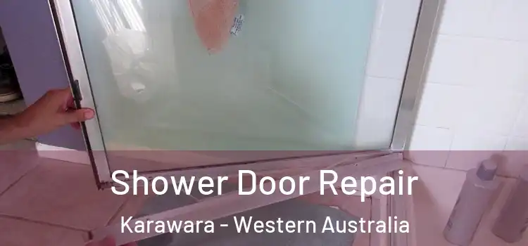 Shower Door Repair Karawara - Western Australia