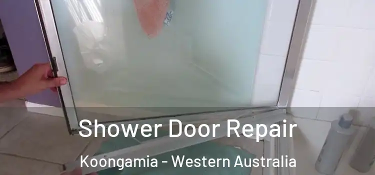 Shower Door Repair Koongamia - Western Australia