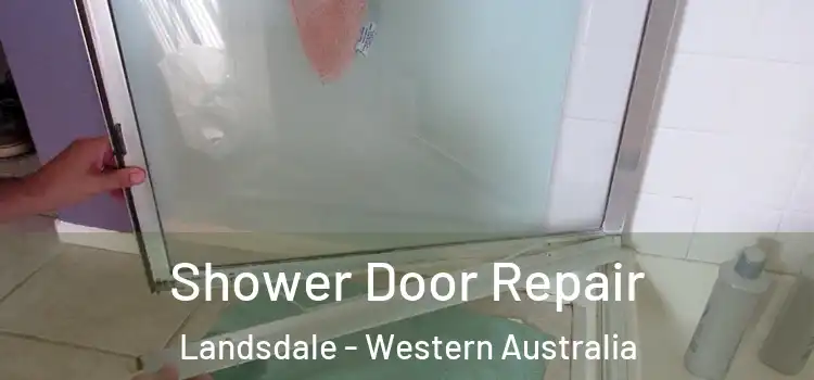 Shower Door Repair Landsdale - Western Australia