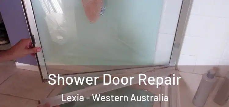 Shower Door Repair Lexia - Western Australia