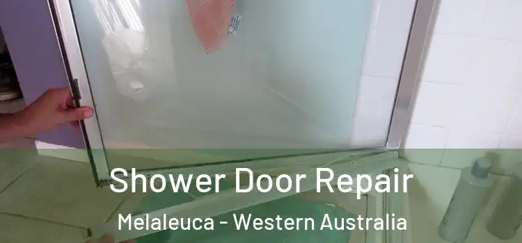 Shower Door Repair Melaleuca - Western Australia