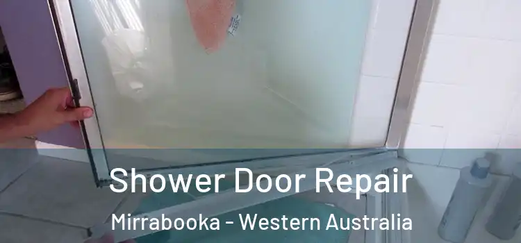 Shower Door Repair Mirrabooka - Western Australia