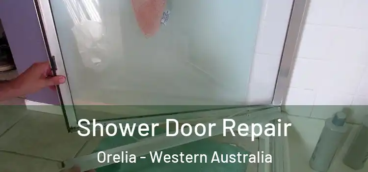 Shower Door Repair Orelia - Western Australia