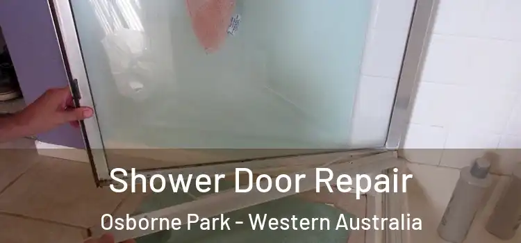 Shower Door Repair Osborne Park - Western Australia