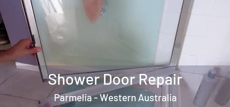 Shower Door Repair Parmelia - Western Australia