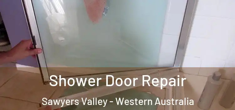 Shower Door Repair Sawyers Valley - Western Australia
