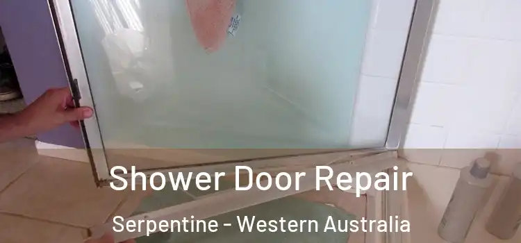 Shower Door Repair Serpentine - Western Australia