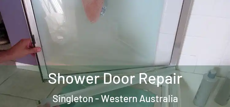 Shower Door Repair Singleton - Western Australia