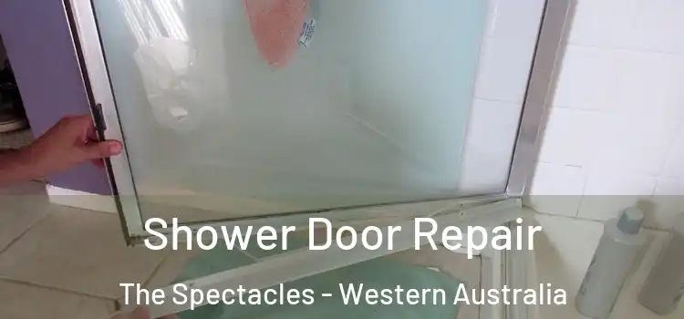 Shower Door Repair The Spectacles - Western Australia