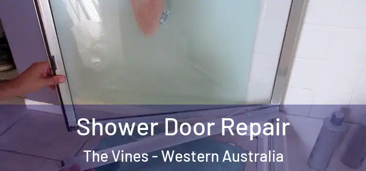 Shower Door Repair The Vines - Western Australia