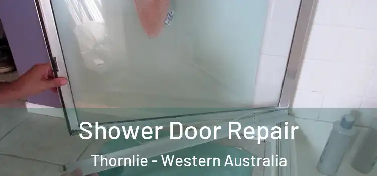 Shower Door Repair Thornlie - Western Australia
