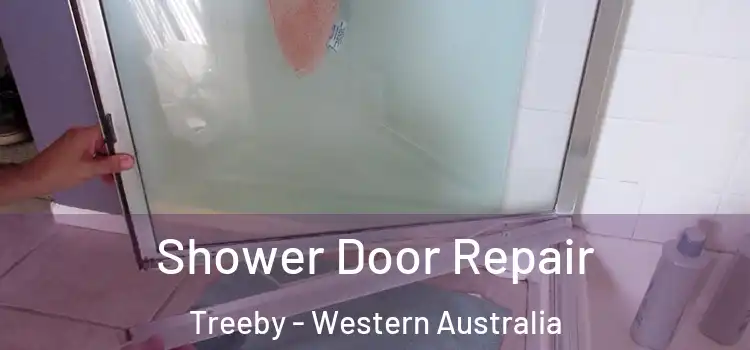 Shower Door Repair Treeby - Western Australia