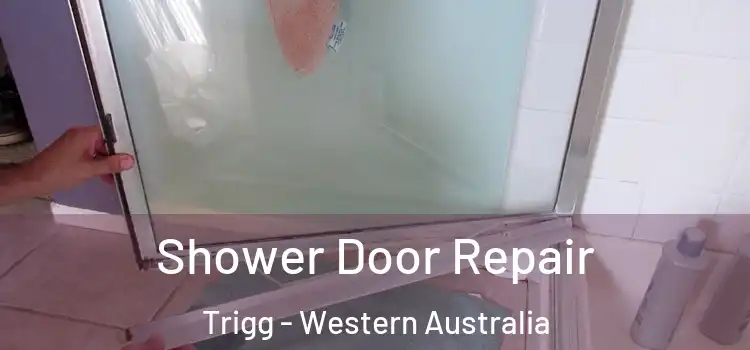 Shower Door Repair Trigg - Western Australia