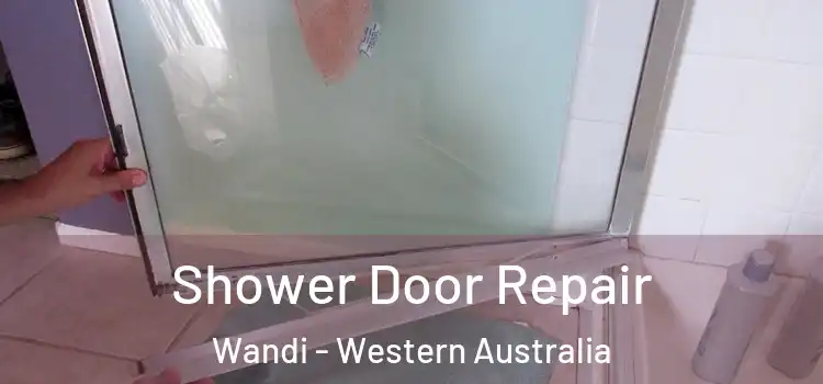 Shower Door Repair Wandi - Western Australia