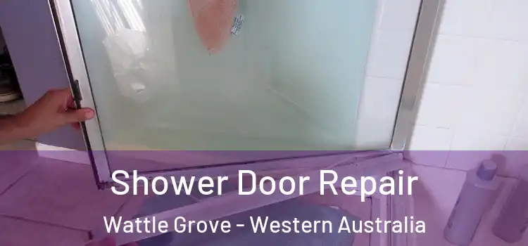 Shower Door Repair Wattle Grove - Western Australia