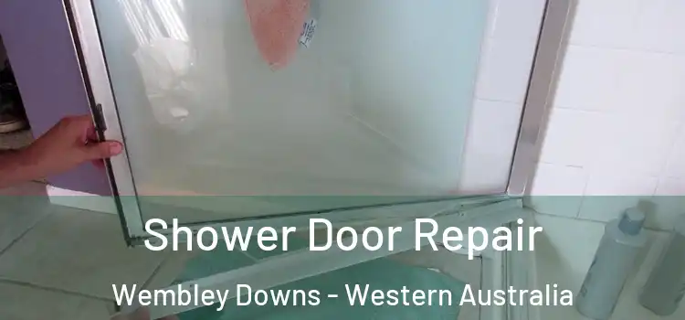Shower Door Repair Wembley Downs - Western Australia