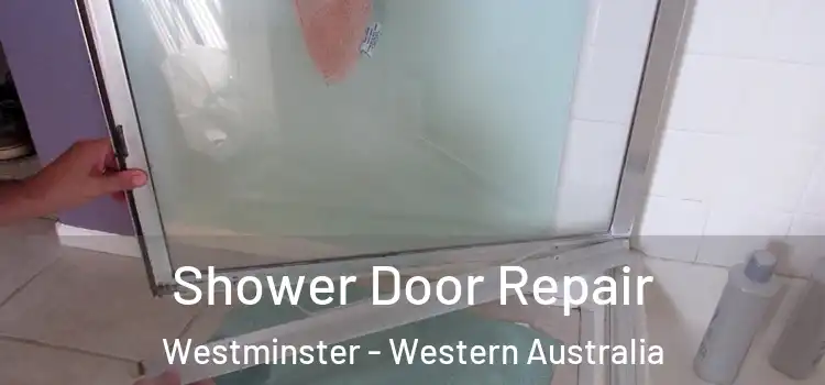 Shower Door Repair Westminster - Western Australia