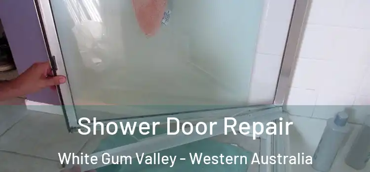 Shower Door Repair White Gum Valley - Western Australia