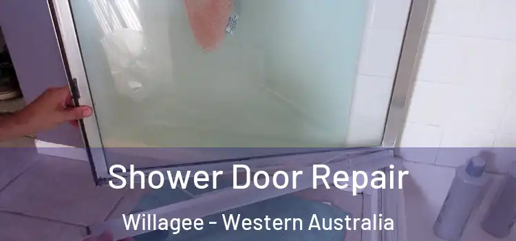 Shower Door Repair Willagee - Western Australia