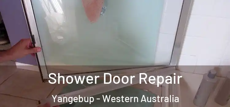 Shower Door Repair Yangebup - Western Australia