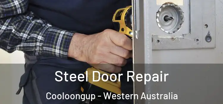 Steel Door Repair Cooloongup - Western Australia