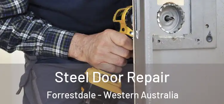 Steel Door Repair Forrestdale - Western Australia
