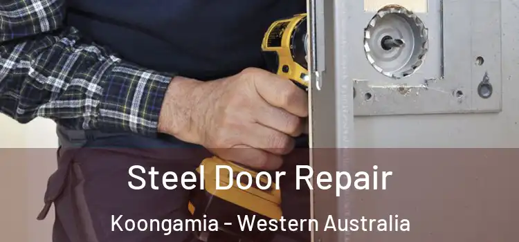 Steel Door Repair Koongamia - Western Australia