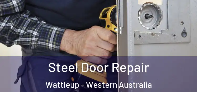 Steel Door Repair Wattleup - Western Australia